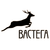 ООО ВАСТЕГА